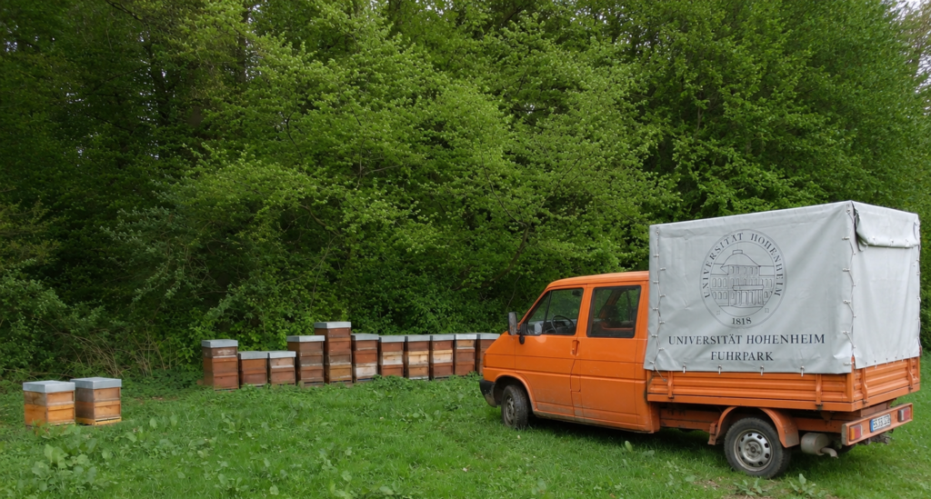 Bienenstand in Deizisau mit alter orangener Pritsche.